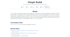 Desktop Screenshot of gungorbudak.com